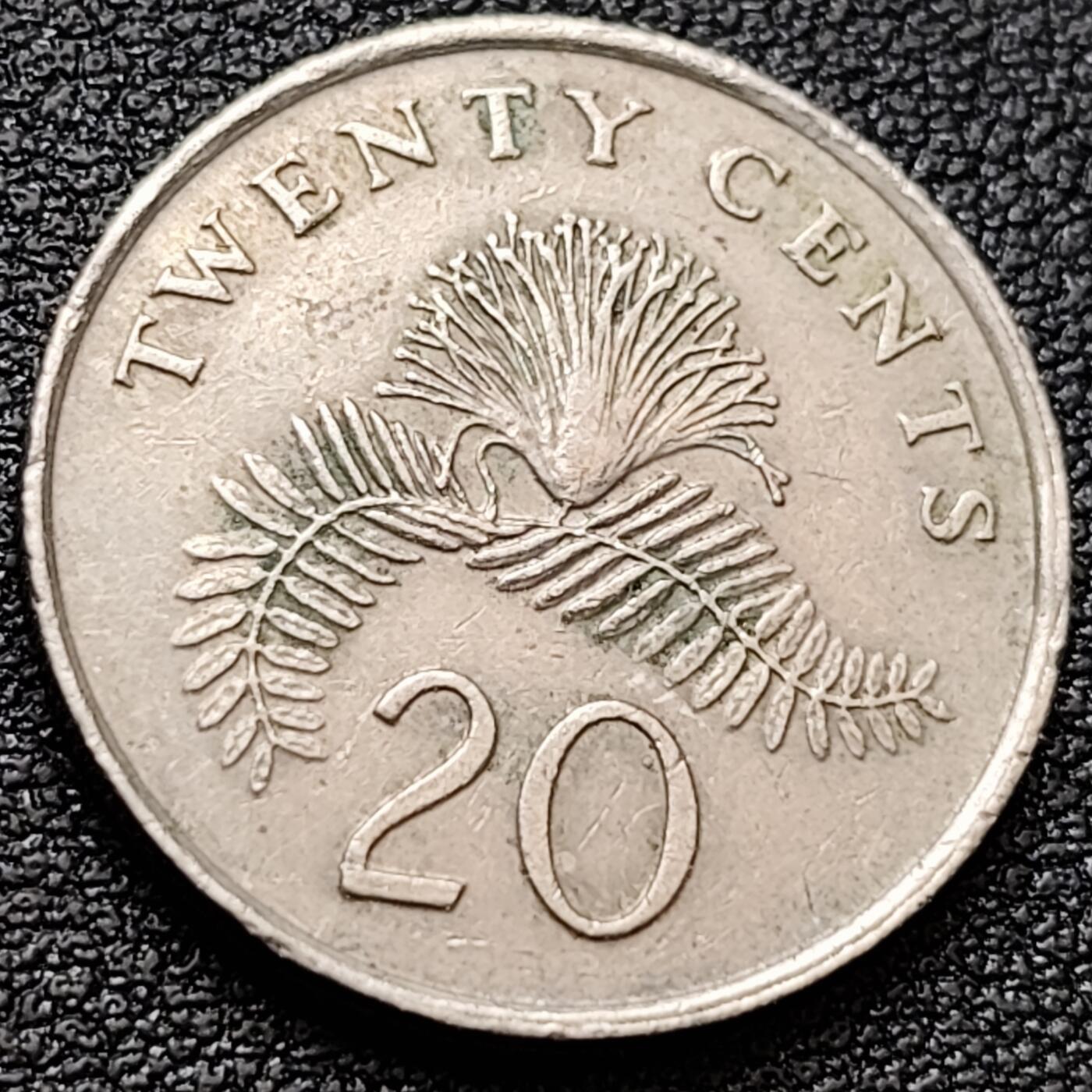 泉币菌-第157场-跨年欢乐场（特修改截拍时间为23:30分）