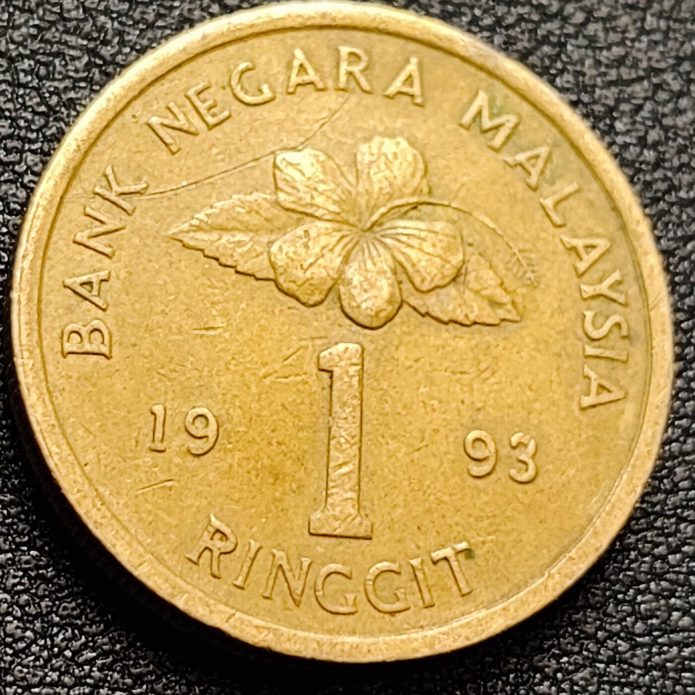 泉币菌-第157场-跨年欢乐场（特修改截拍时间为23:30分）