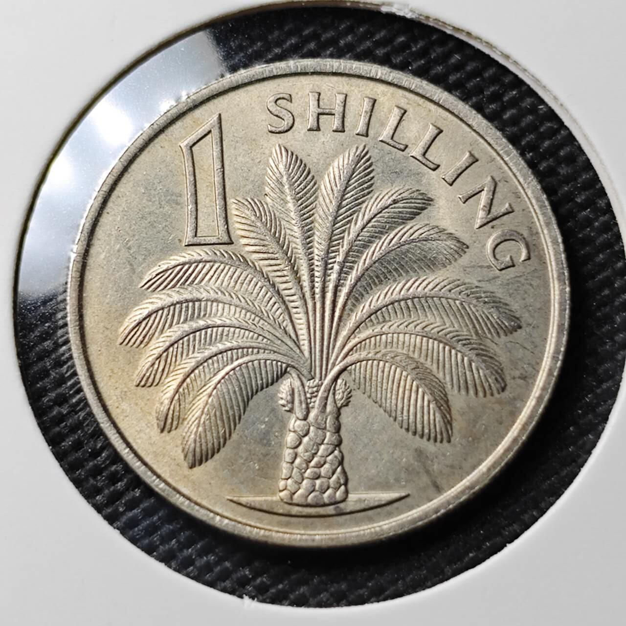 KK钱币收藏小铺 《套币 好品/批量散币专场》  2月预留时间 周末发货  1966英属冈比亚1先令 好品