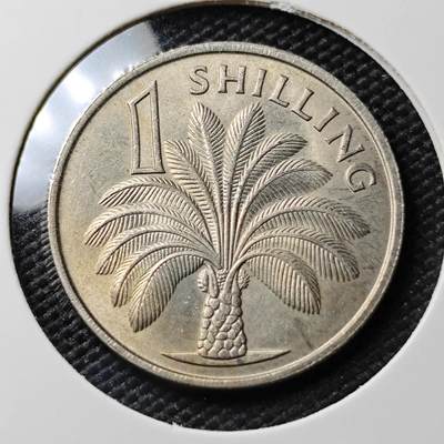 KK钱币收藏小铺 《套币 好品/批量散币专场》  2月预留时间 周末发货 -  1966英属冈比亚1先令 好品