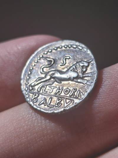 典藏极美品！古罗马共和国 朱诺第纳里银币  L·索里乌斯·巴尔布斯（L. Thorius Balbus），这是经典的一枚朱诺披山羊皮的银币，一般朱诺都长得比较丑，但是这一枚算是比较漂亮的