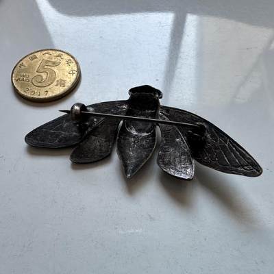 🌹外币初藏🌹🐯2026年第1场  每周二四六晚8️⃣点 接代拍 蜜蜂胸针 工艺极好