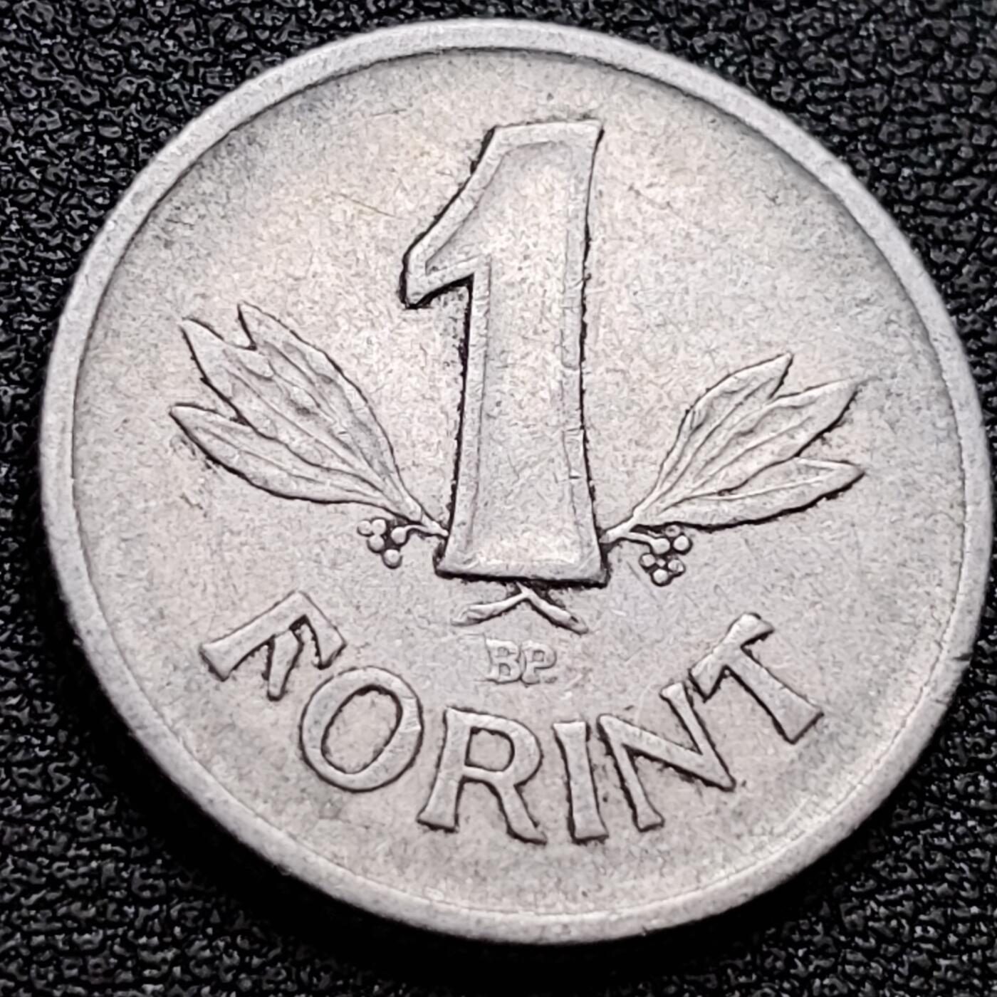 泉币菌-第157场-跨年欢乐场（特修改截拍时间为23:30分）