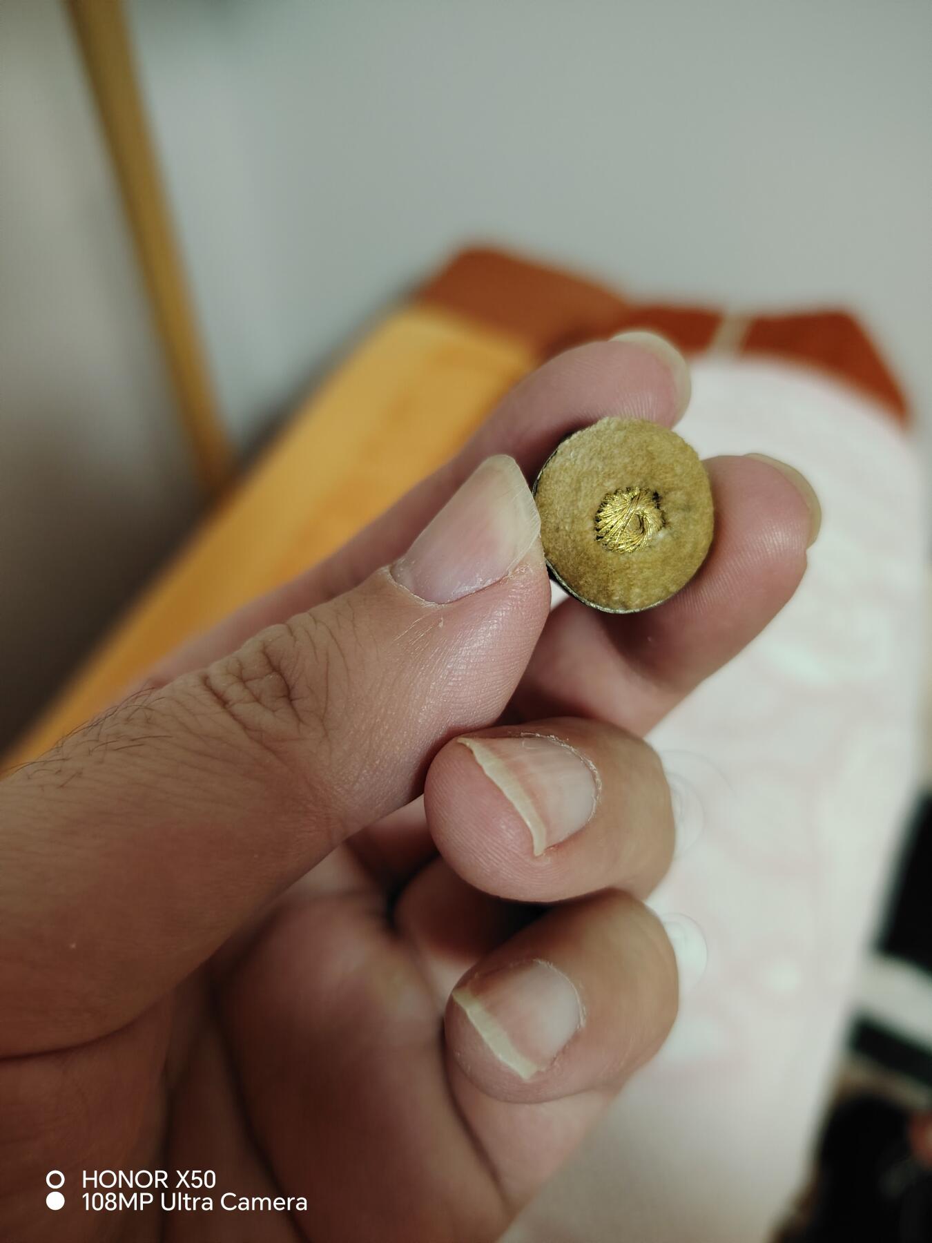 城南花开🌷84场 选举章