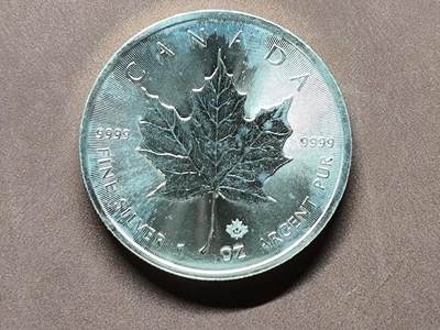 【日月同辉 第1场】元旦首场 无买家佣金 世界钱币 银币 - 【银币】2017年加拿大枫叶银币