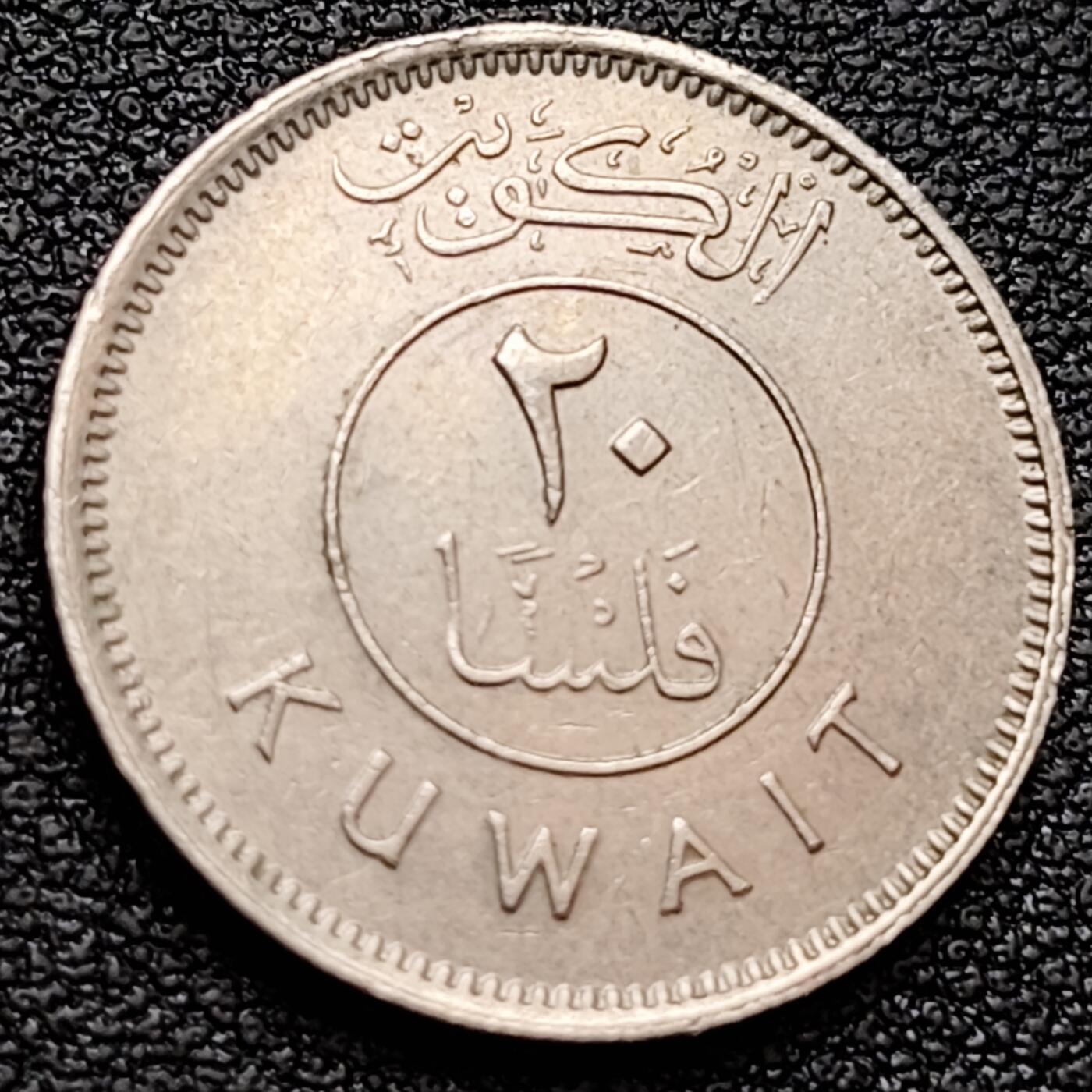 泉币菌-第157场-跨年欢乐场（特修改截拍时间为23:30分）