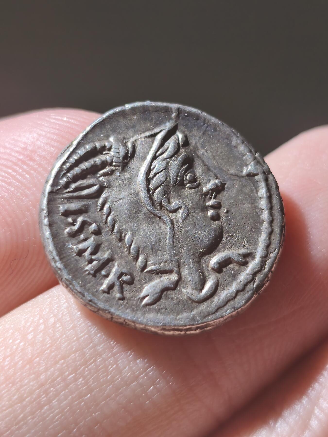 星盘世界钱币2026一月十日新年古典精品大拍 精彩纷呈 典藏极美品！古罗马共和国 朱诺第纳里银币  L·索里乌斯·巴尔布斯（L. Thorius Balbus），这是经典的一枚朱诺披山羊皮的银币，一般朱诺都长得比较丑，但是这一枚算是比较漂亮的