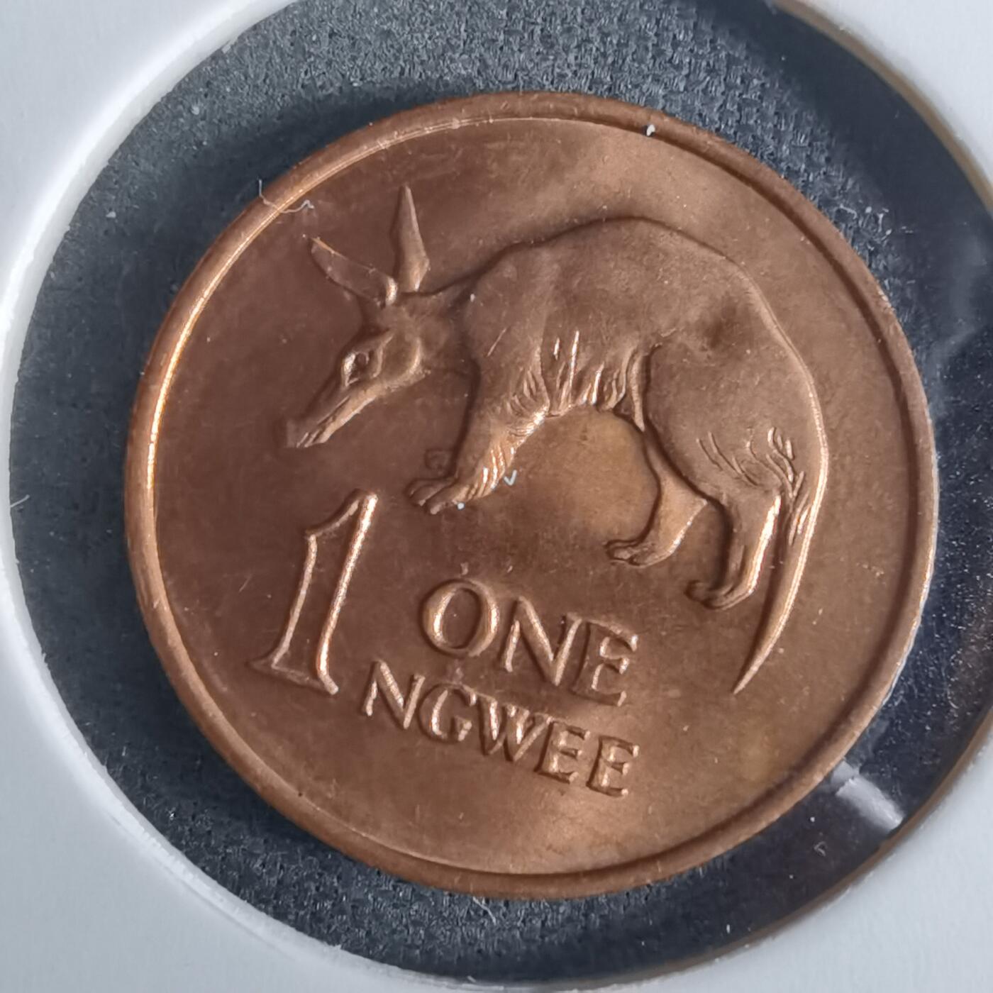 沼泽如烟--第948场