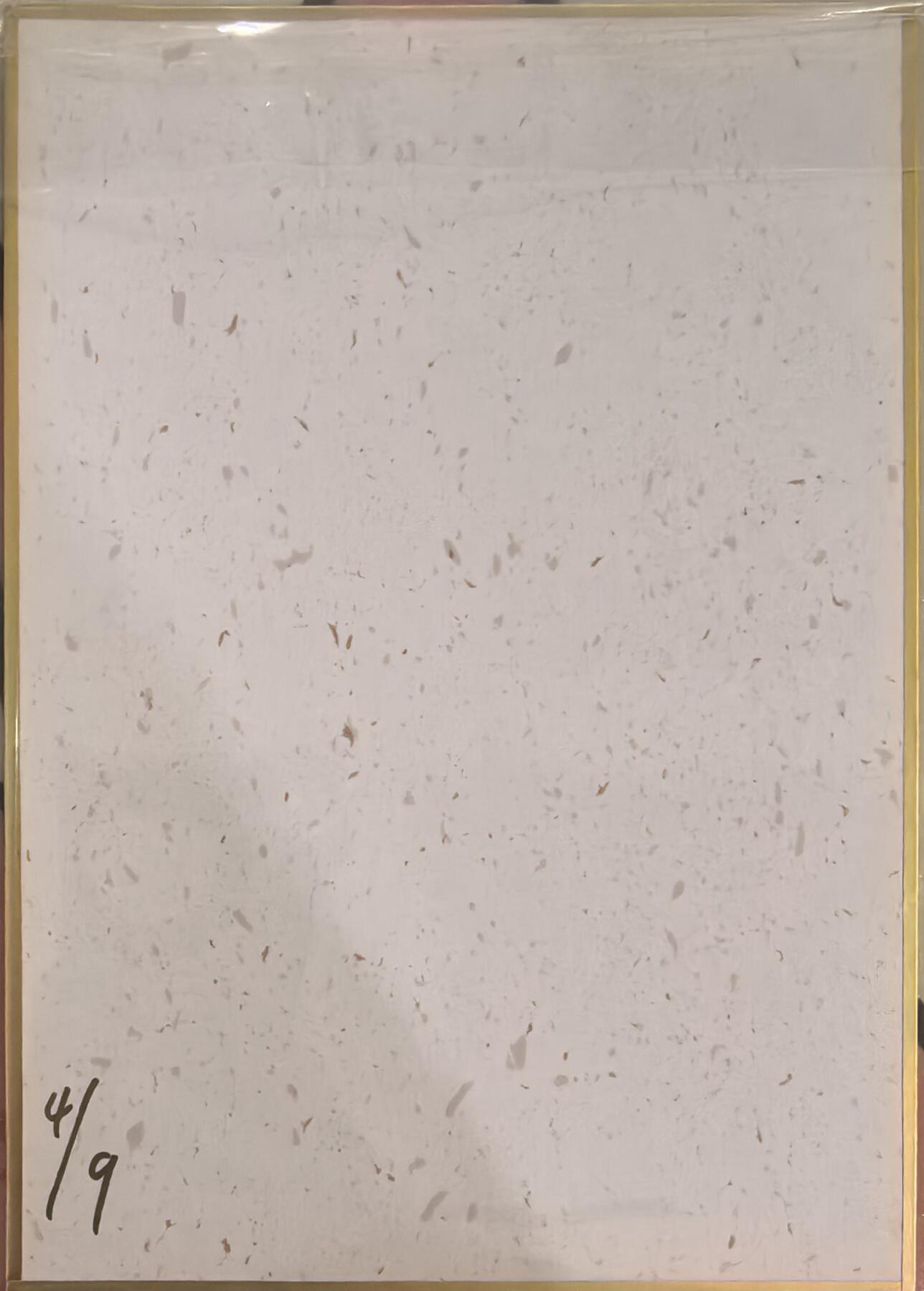 丫丫卡拍--跨年特档*满赠妲己特卡，本场包含之前流拍品（12月31日22点截拍）