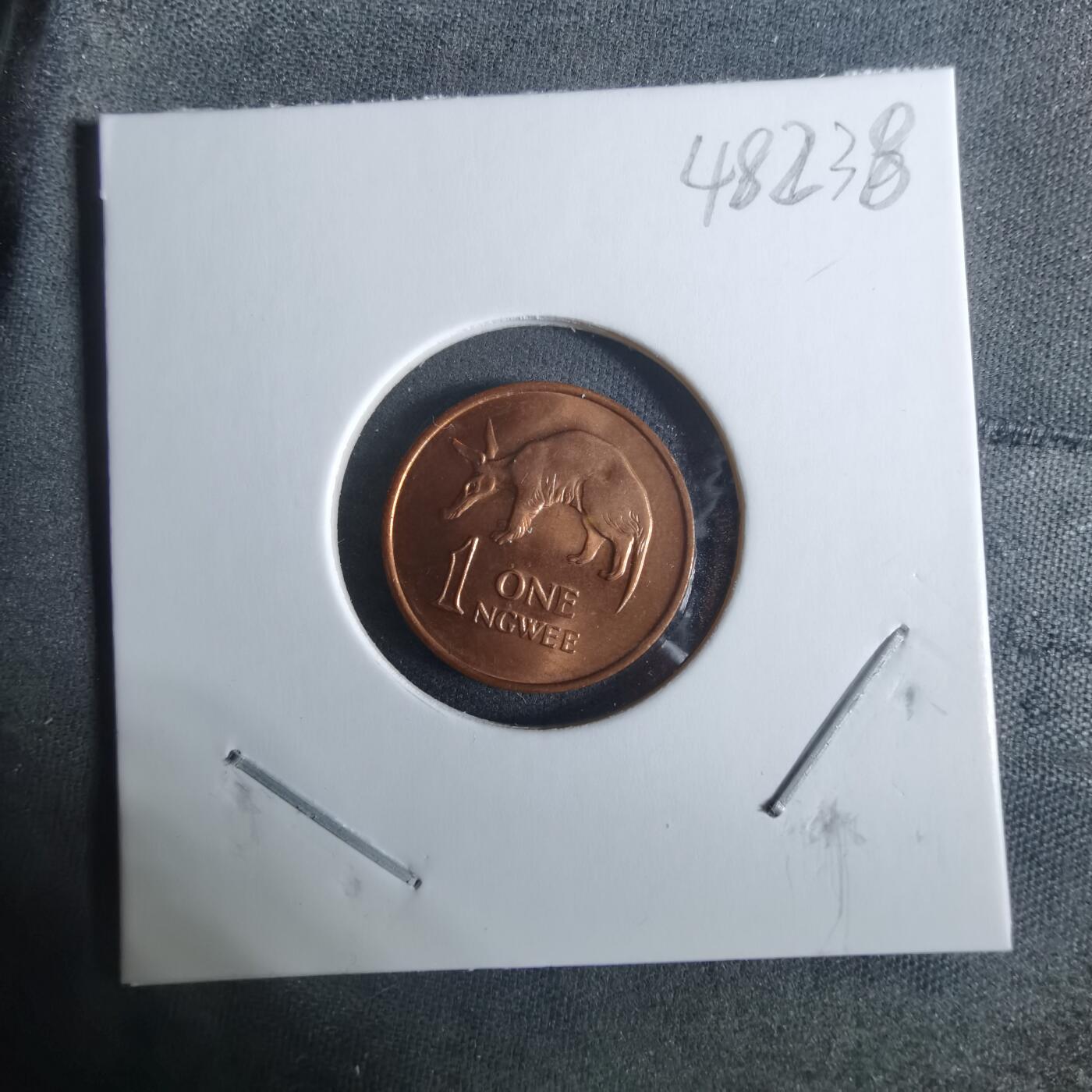 沼泽如烟--第948场