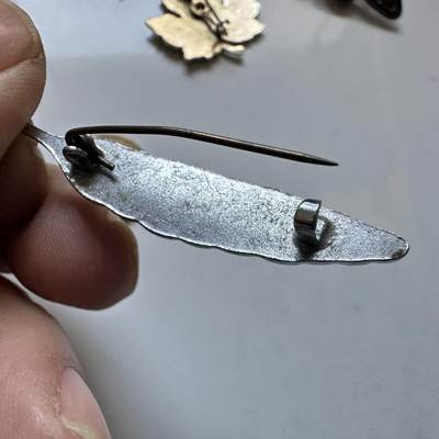 🌹外币初藏🌹🐯2026年第1场  每周二四六晚8️⃣点 接代拍 羽毛胸针