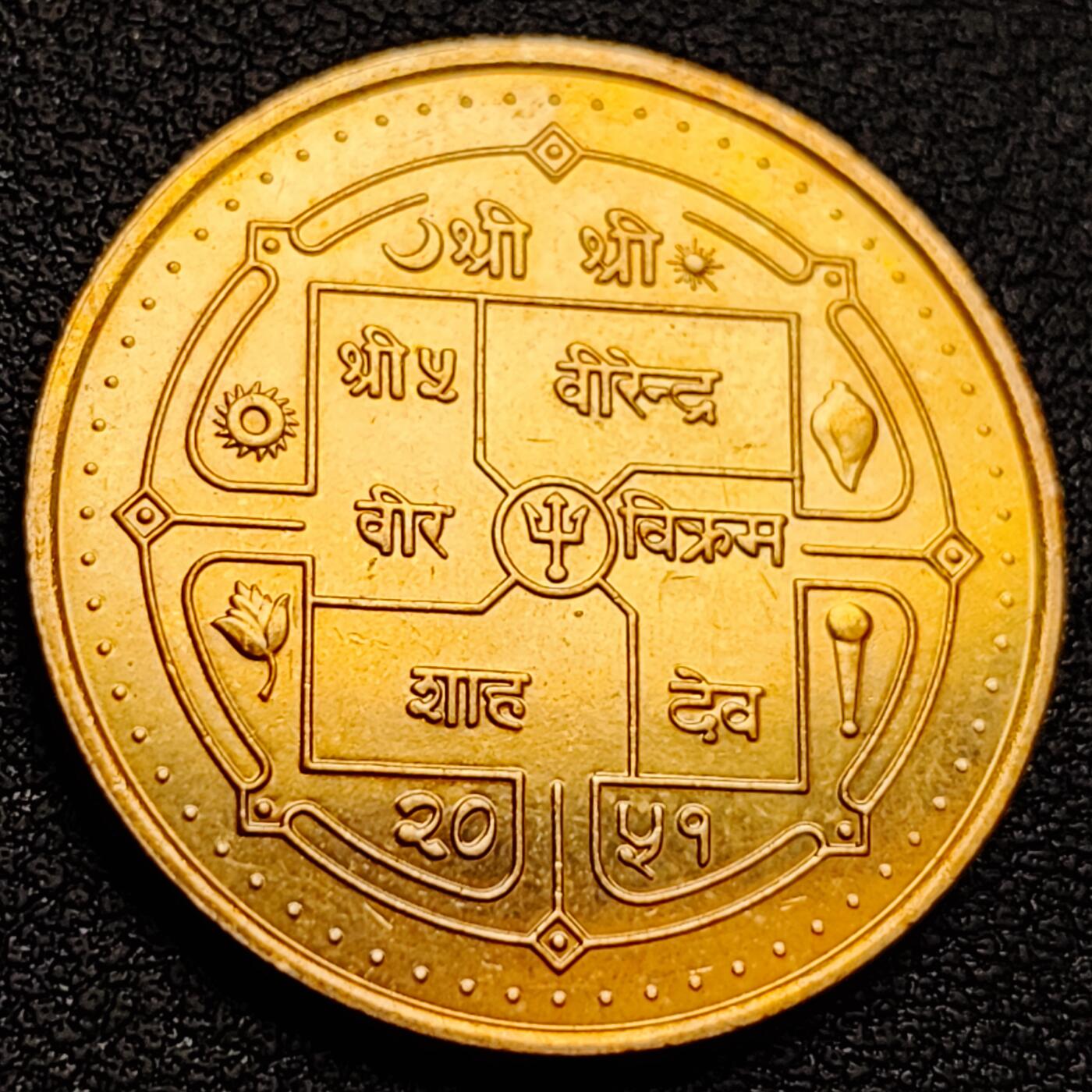 泉币菌-第158场-元旦欢乐场，开年第一场，新年快乐！（特修改截拍时间为23:30分） 。