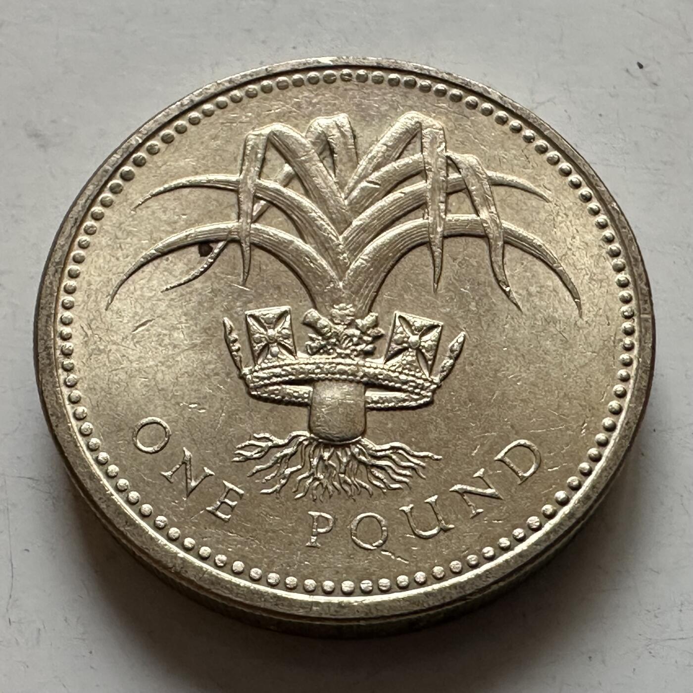 🌹外币初藏🌹🐯2026年第1场  每周二四六晚8️⃣点 接代拍 英国1985年一英镑 全新