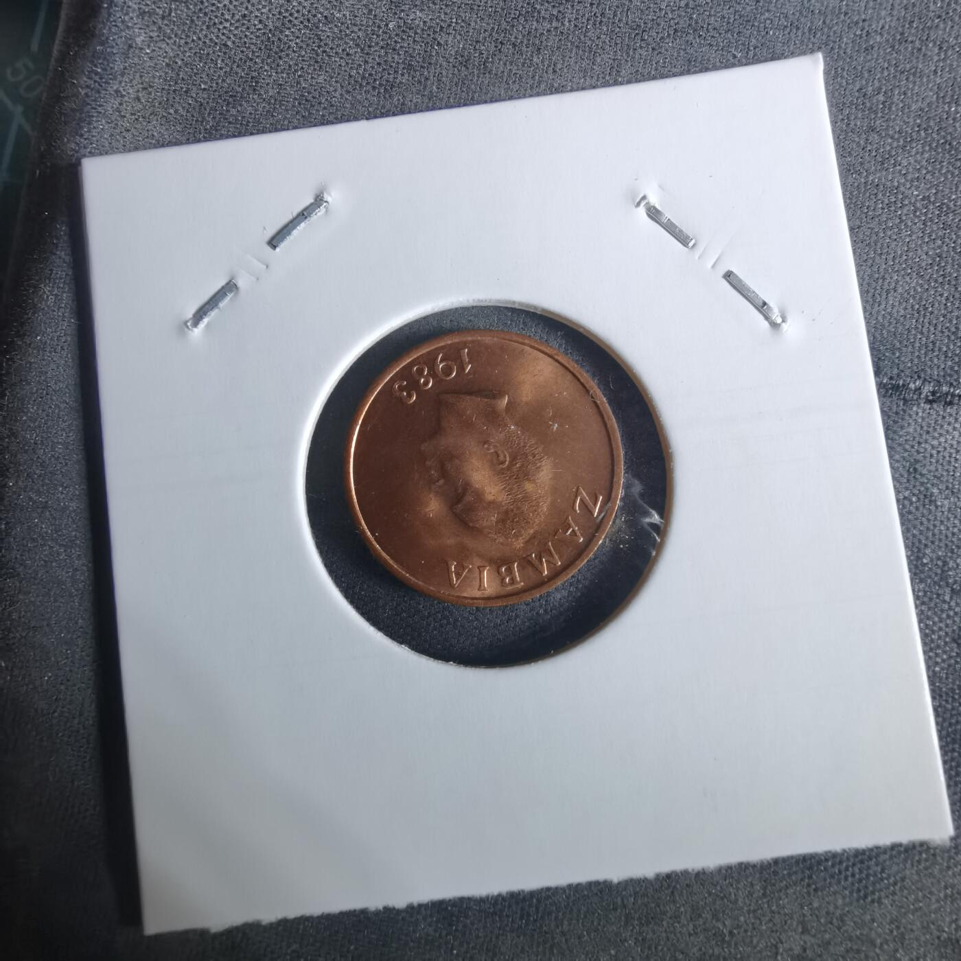 沼泽如烟--第948场