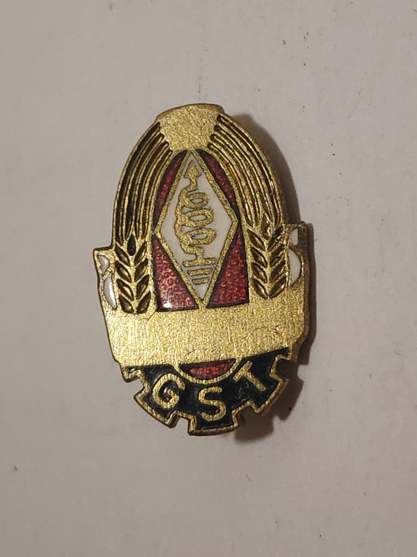 韵星假日拍卖第三十四期 -- Rimey Holidays Auction 34 民主德国gst金级准军事组织技术成员证章 早期