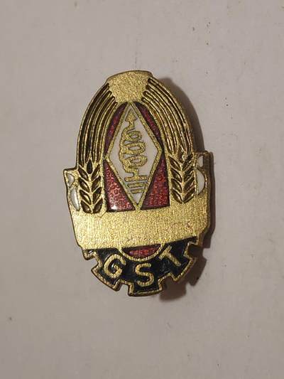 韵星假日拍卖第三十四期 -- Rimey Holidays Auction 34 - 民主德国gst金级准军事组织技术成员证章 早期