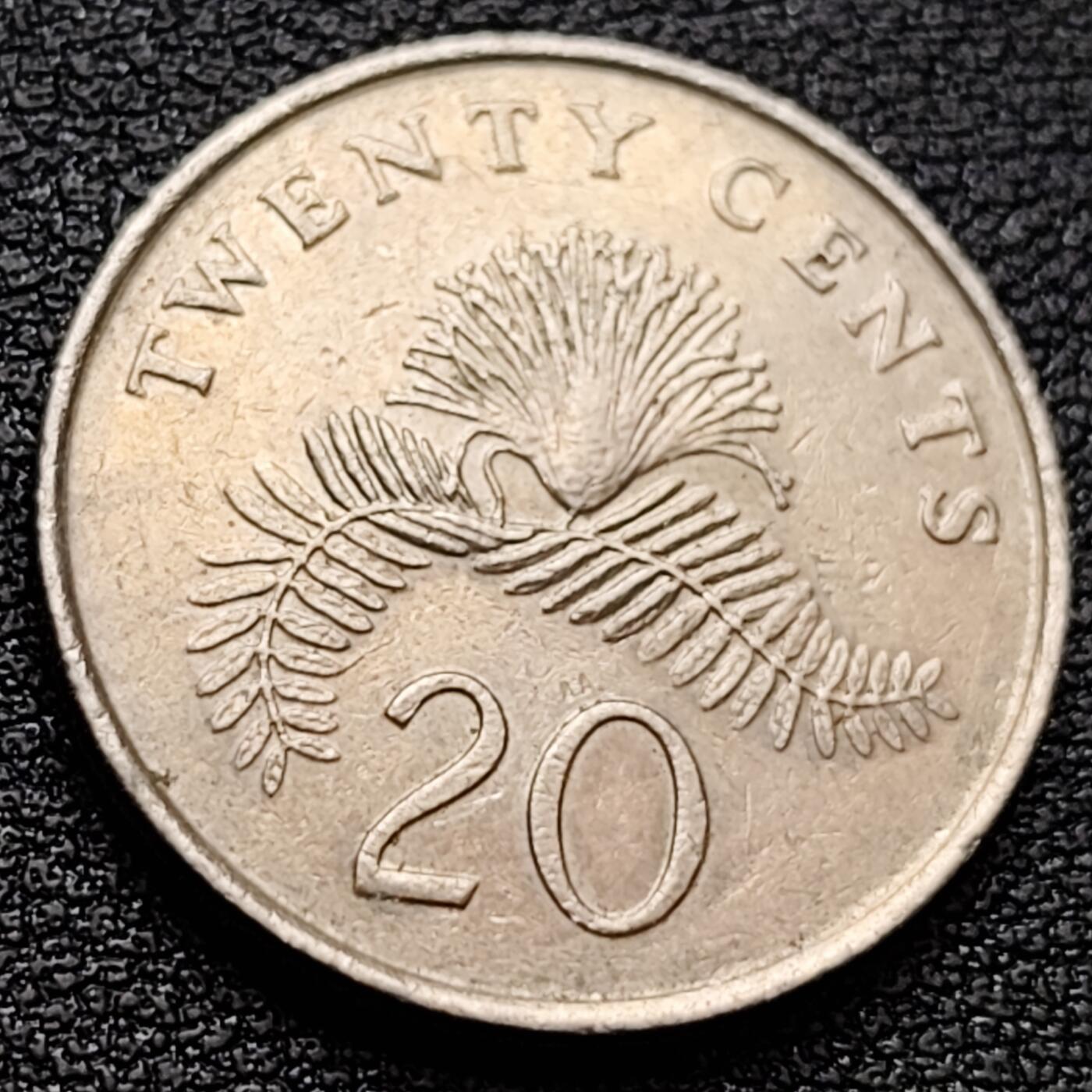 泉币菌-第157场-跨年欢乐场（特修改截拍时间为23:30分）