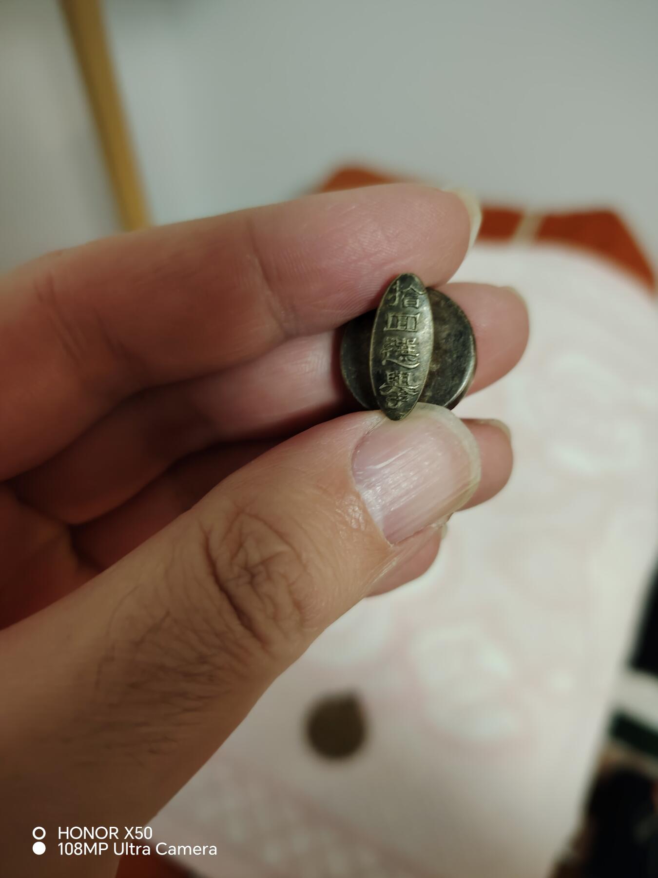 城南花开🌷84场 选举章