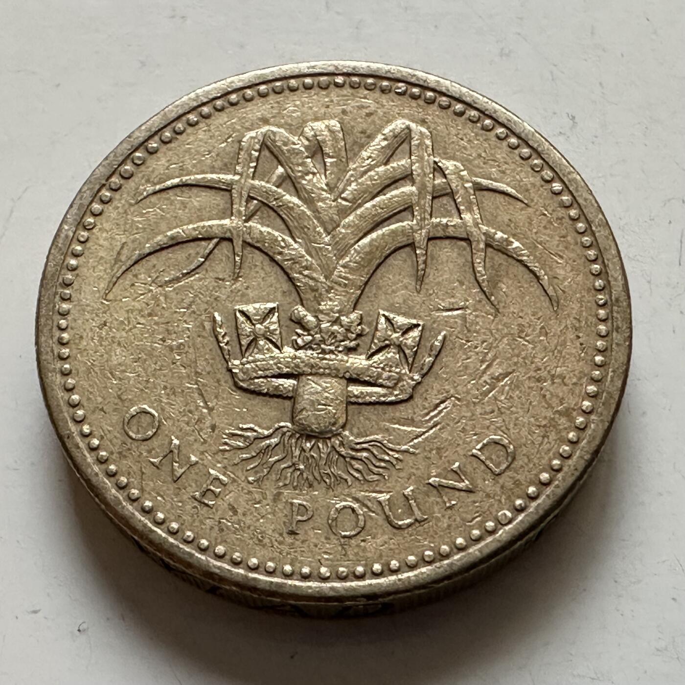 🌹外币初藏🌹🐯2026年第1场  每周二四六晚8️⃣点 接代拍 英国1985年一英镑