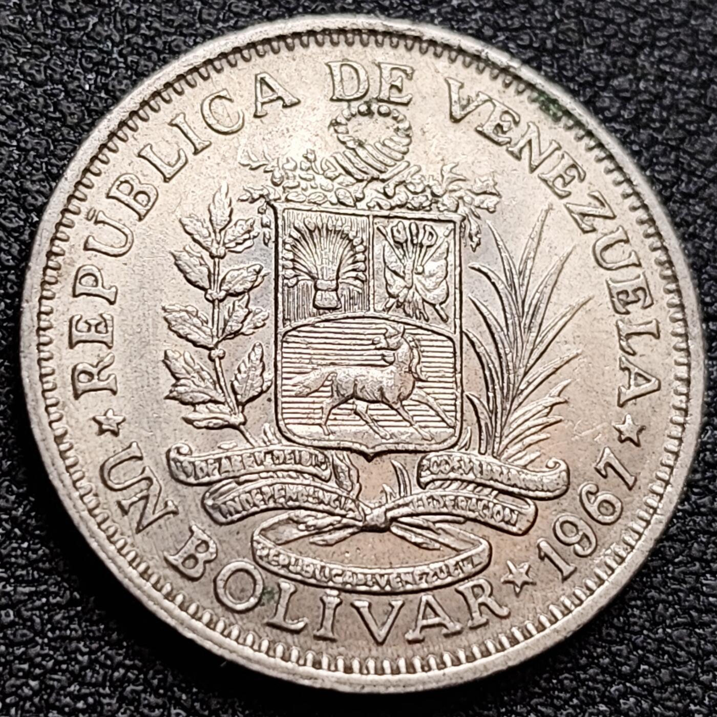 泉币菌-第158场-元旦欢乐场，开年第一场，新年快乐！（特修改截拍时间为23:30分） 。