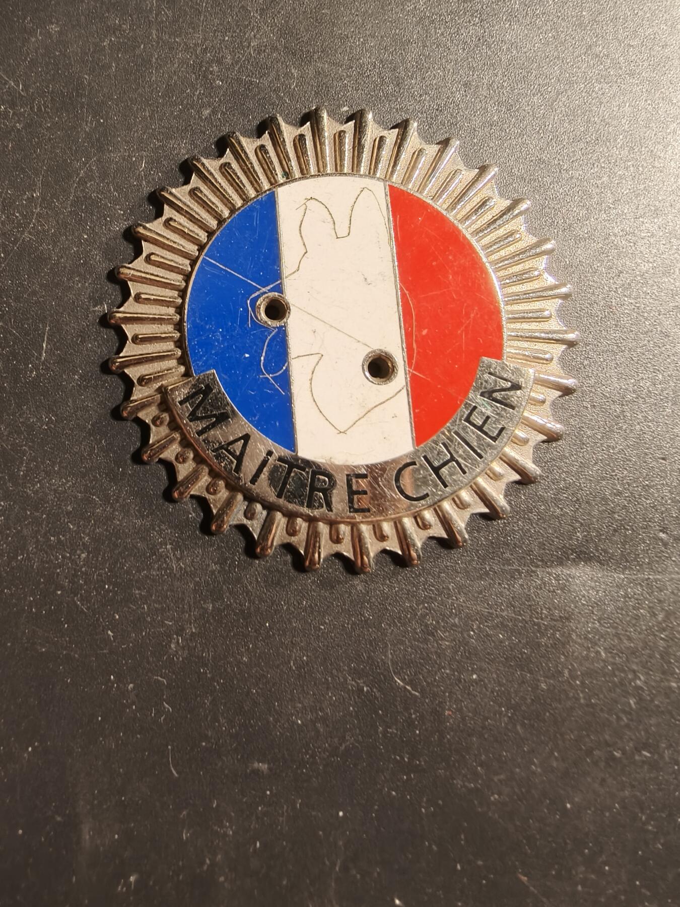 老王徽章第173期 法国警犬训导员大尺寸证章    