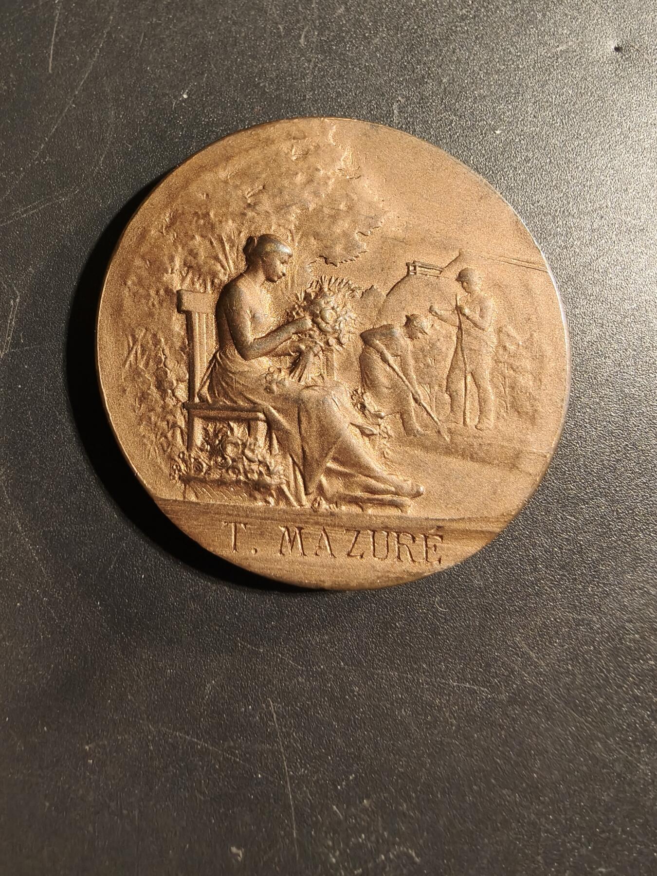 老王徽章第173期 法国北部园艺和工人花园协会大铜章     原盒      直径41mm    重量30g