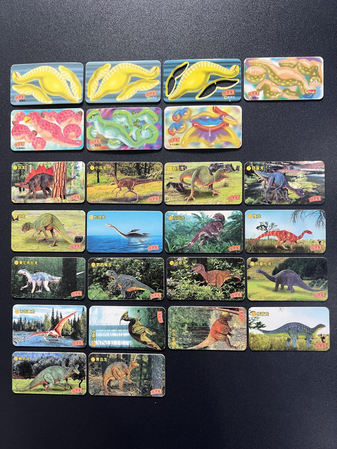 小灵龙拼插恐龙卡收集卡