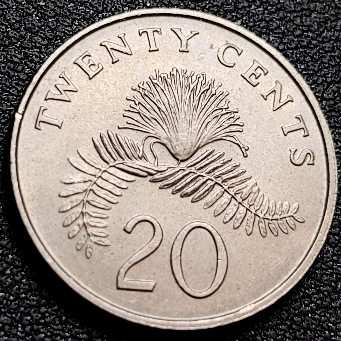 泉币菌-第158场-元旦欢乐场，开年第一场，新年快乐！（特修改截拍时间为23:30分） 。