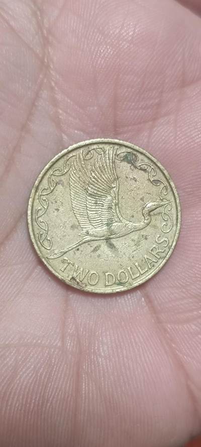 万国钱币阁第一场【元旦场】 - 新西兰2元铜币