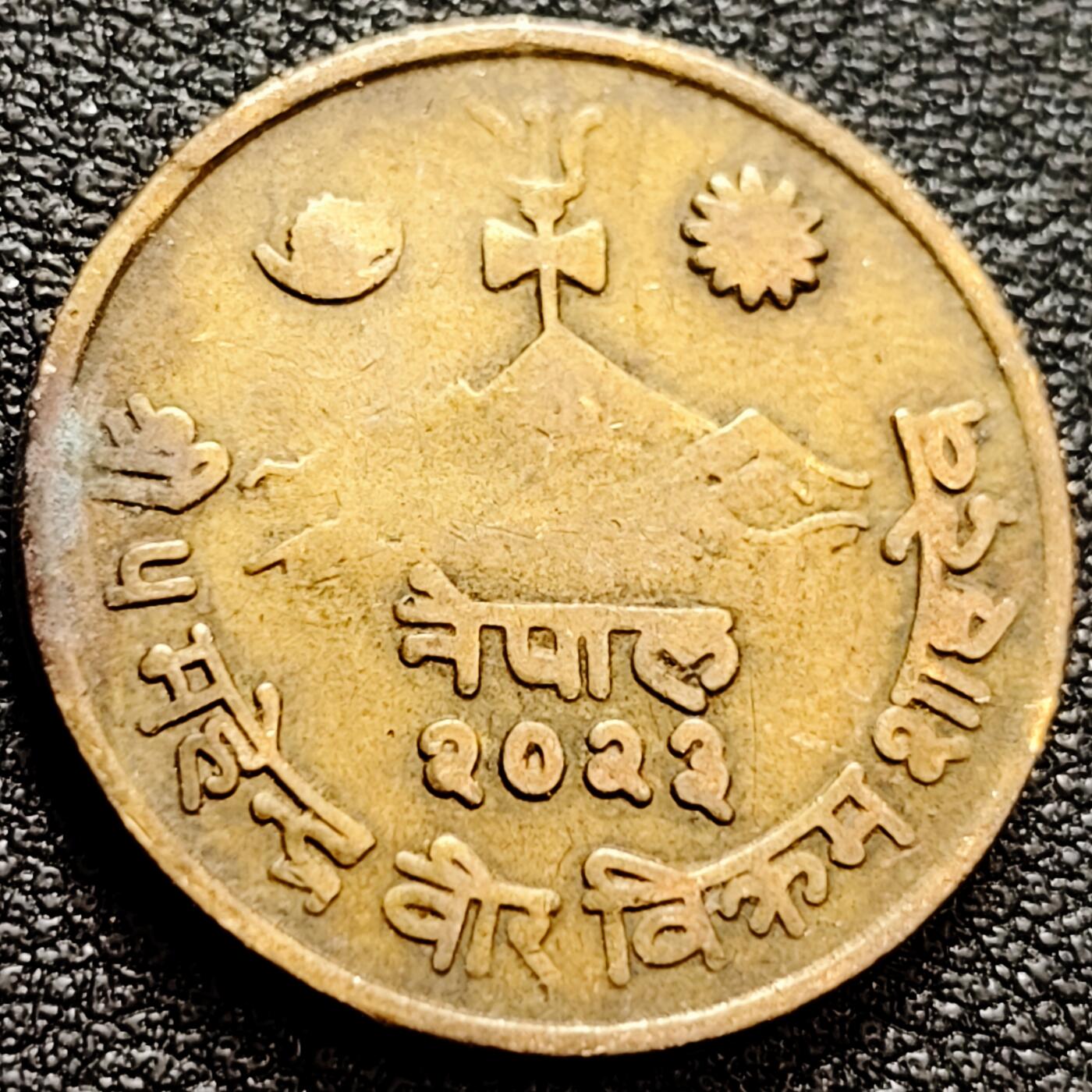 泉币菌-第158场-元旦欢乐场，开年第一场，新年快乐！（特修改截拍时间为23:30分） 。