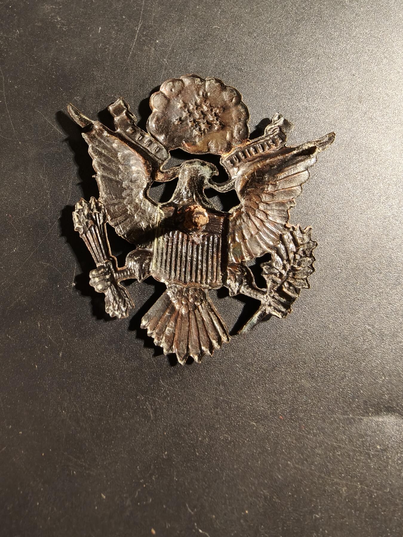 老王徽章第173期 美国陆军大檐帽帽徽