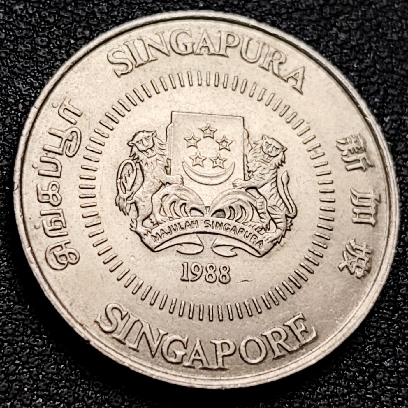 泉币菌-第158场-元旦欢乐场，开年第一场，新年快乐！（特修改截拍时间为23:30分） 。