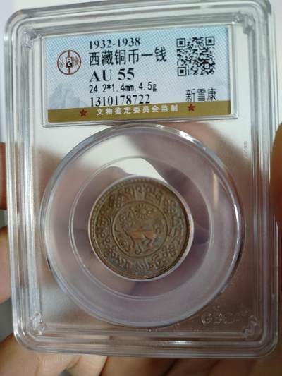 藏币铜币专场 - 西藏铜币新雪康一枚
