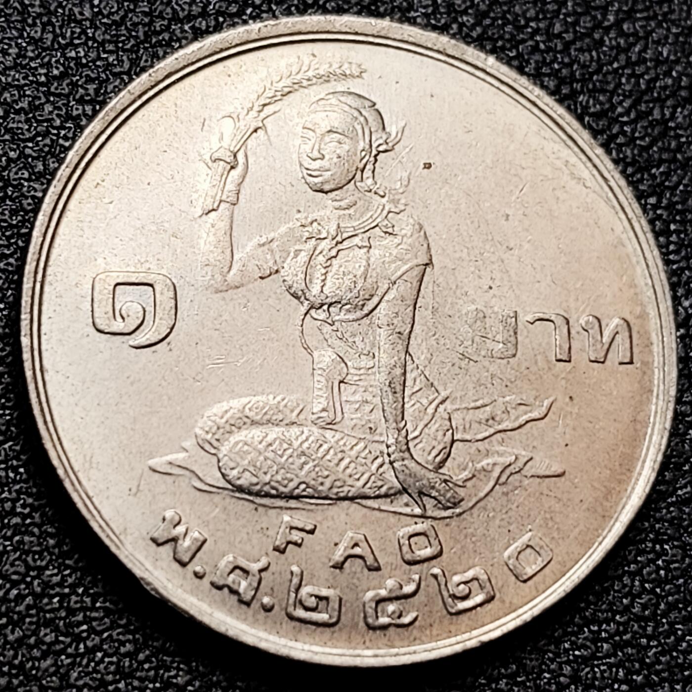 泉币菌-第159场-新年第二场 精品福利场 。