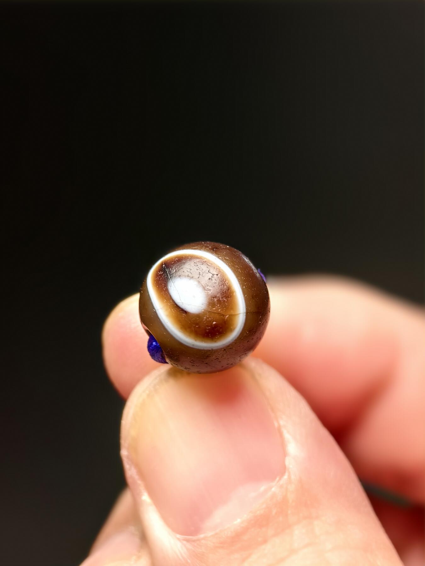 抚柳草堂-第五期章牌钱币（元旦欢庆场） 奖章勋章限时免佣 满百包邮 放漏专场 公元十五世纪 缠丝玛瑙珠 带眼 闻德评级尺寸见标签