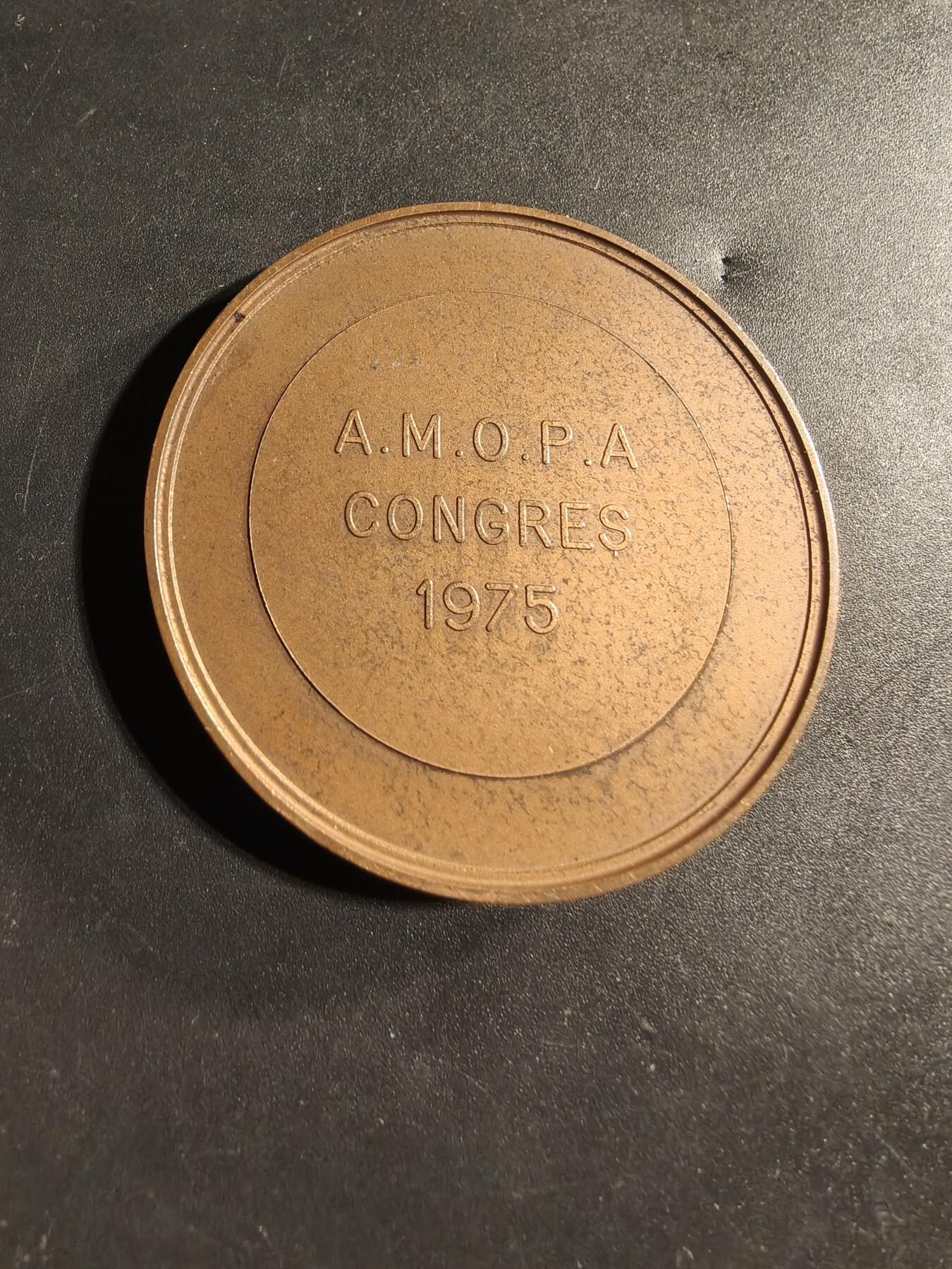 老王徽章第173期 1975年法国普瓦提埃市邮政和行政部门大铜章      直径50mm     重量77.8g