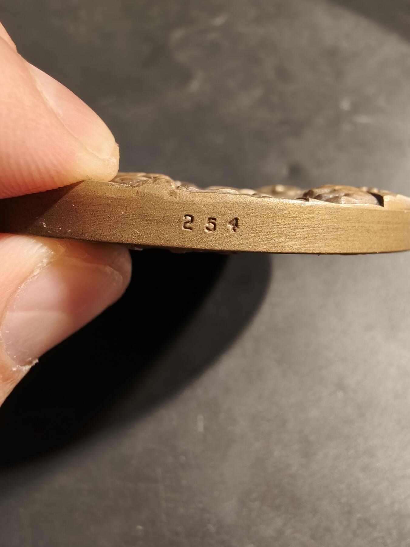 老王徽章第173期 葡萄牙1969纪念波尔多市的共和统治大铜章    该章编号254     直径80mm     重量257g