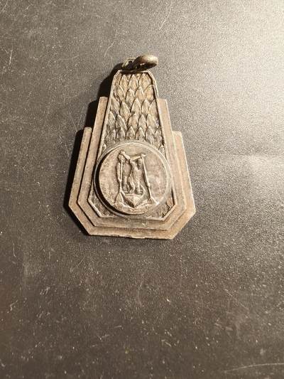 老王徽章第173期 - 法国皮划艇运动纪念章