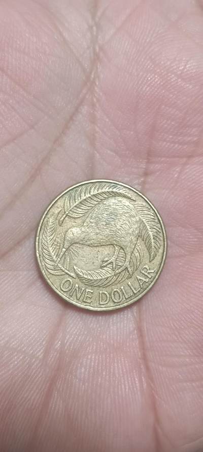 万国钱币阁第一场【元旦场】 - 新西兰1元铜币