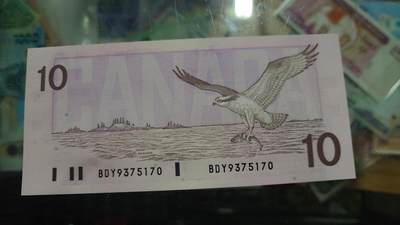 【新年二拍】世界钱币～微拍第223期暨2025年第63期  裸钞专场超低起拍 欢迎参与 - 1989年加拿大10元 鸟版全新绝品无4尾号170