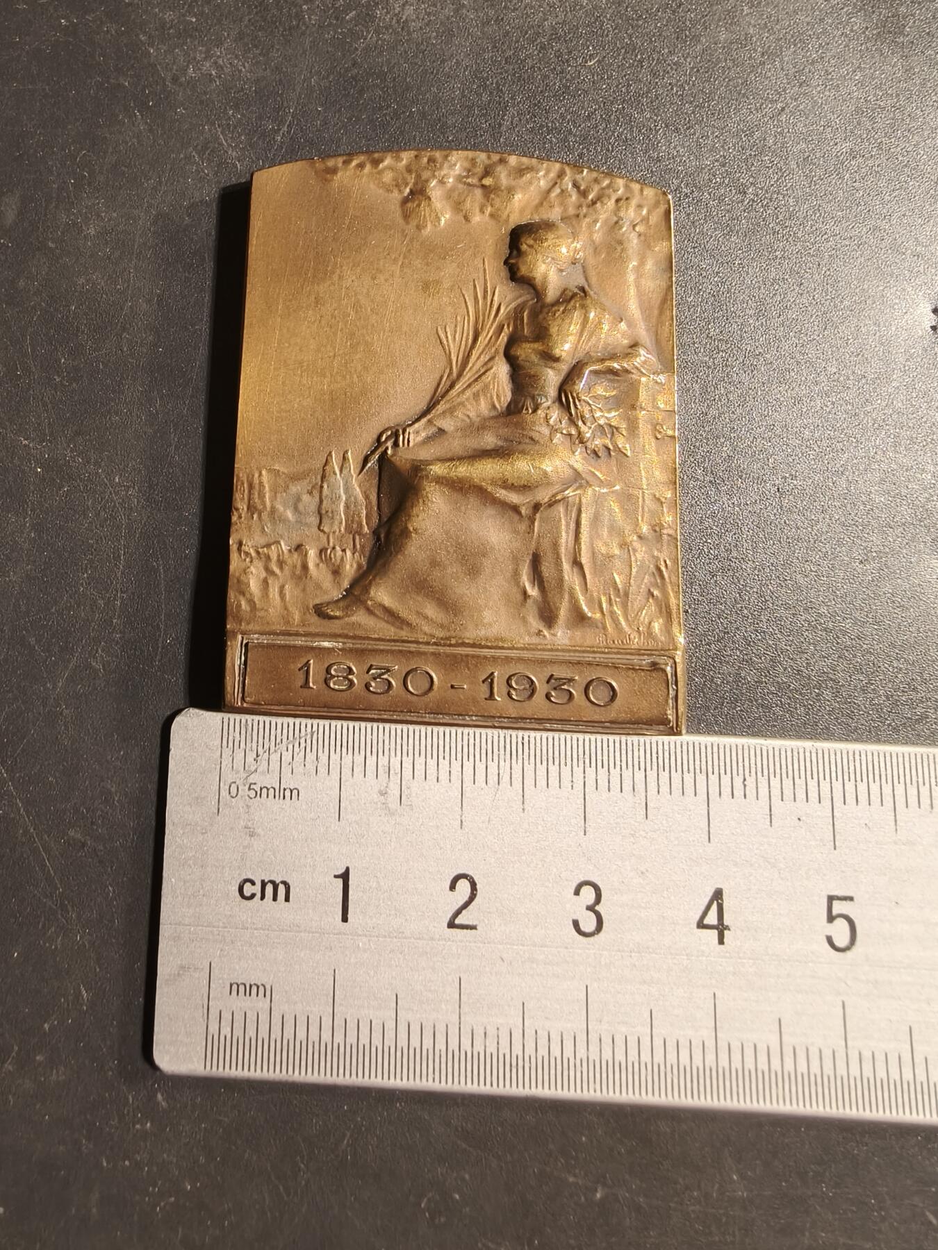 老王徽章第173期 法国伏拉热工厂成立百年方形大铜章      原盒     尺寸36×50mm     重量42.4g