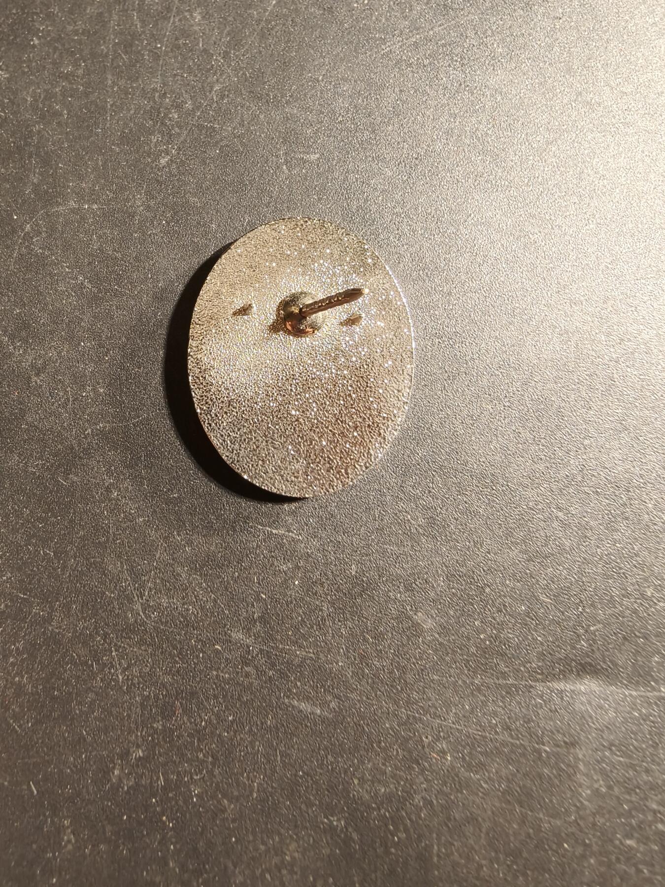 老王徽章第173期 德国萨尔维林根志愿消防队证章