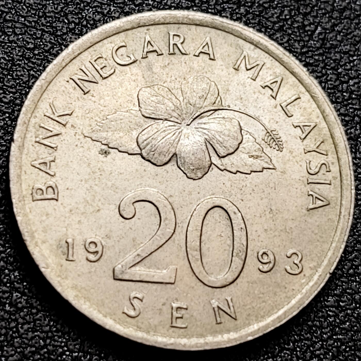 泉币菌-第158场-元旦欢乐场，开年第一场，新年快乐！（特修改截拍时间为23:30分） 。