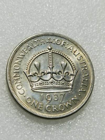 天下钱庄专场欢迎参拍 - 澳大利亚皇冠银币