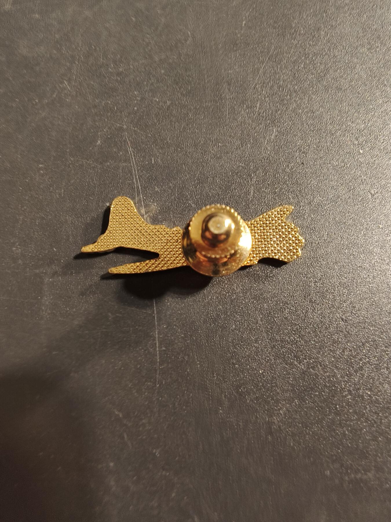 老王徽章第173期 美国空军B17空中堡垒轰炸机证章