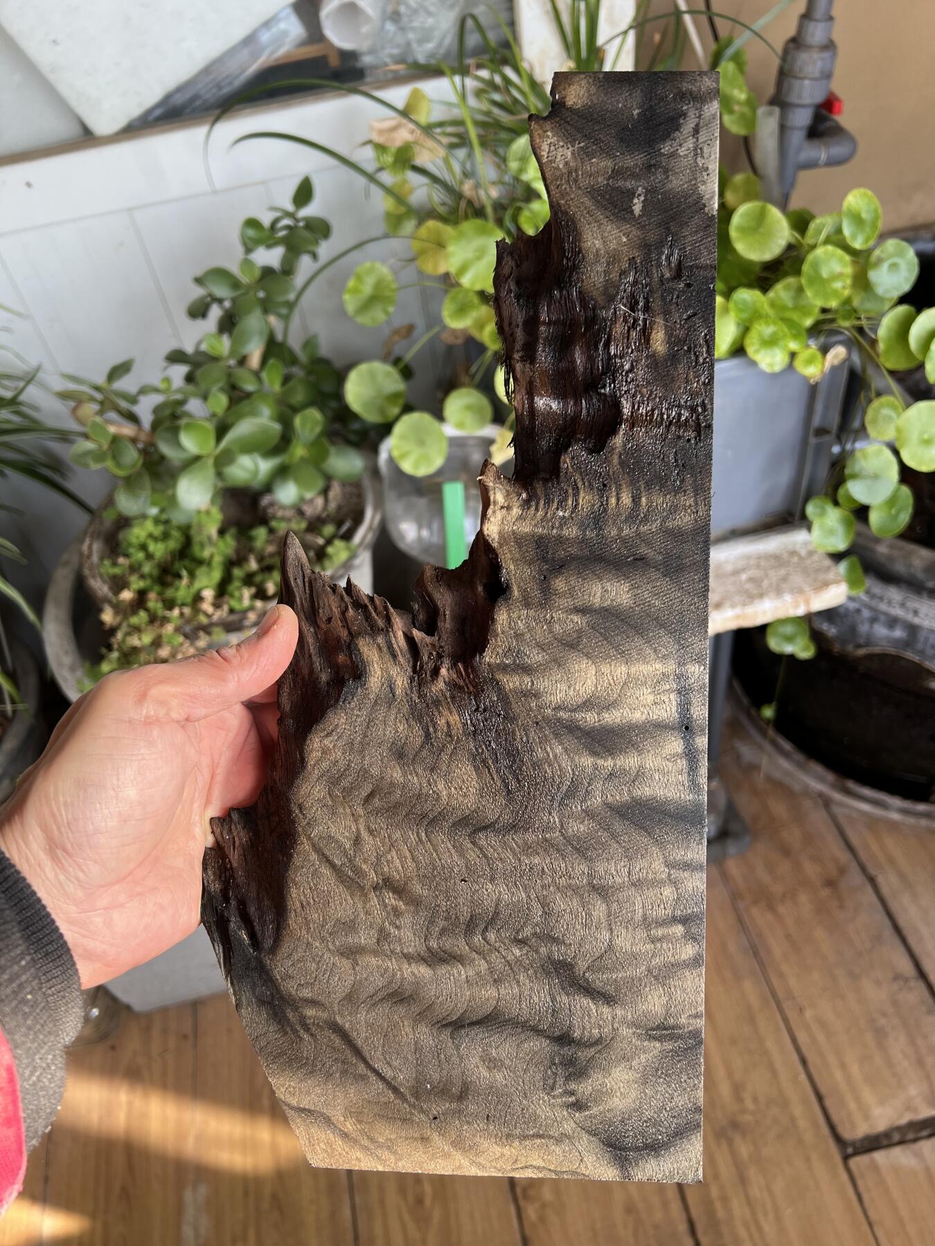 零元拍：1230-2金丝楠 牌子料   满金丝 果香满满 尺寸：33.5/17/5/1.4厚CM。