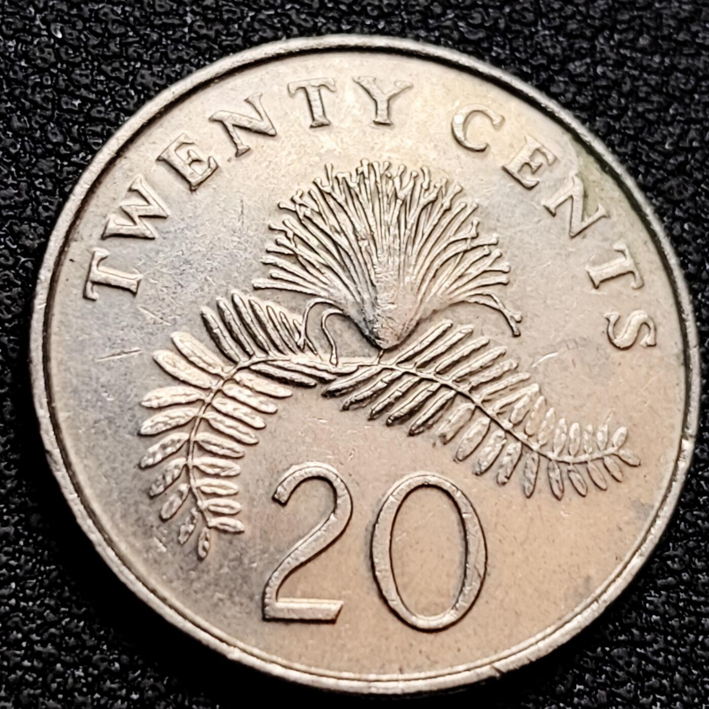 泉币菌-第158场-元旦欢乐场，开年第一场，新年快乐！（特修改截拍时间为23:30分） 。