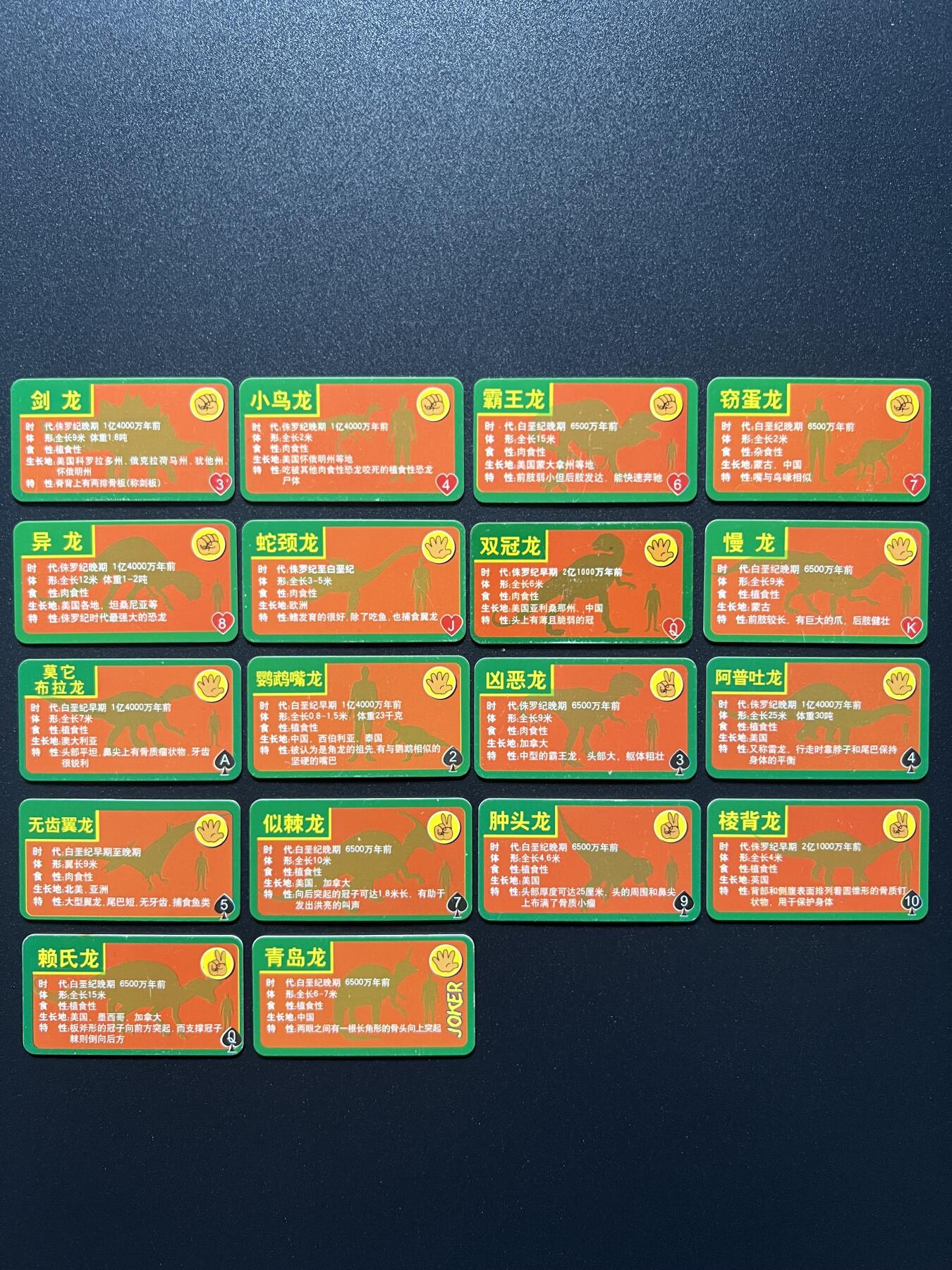 小灵龙拼插恐龙卡收集卡