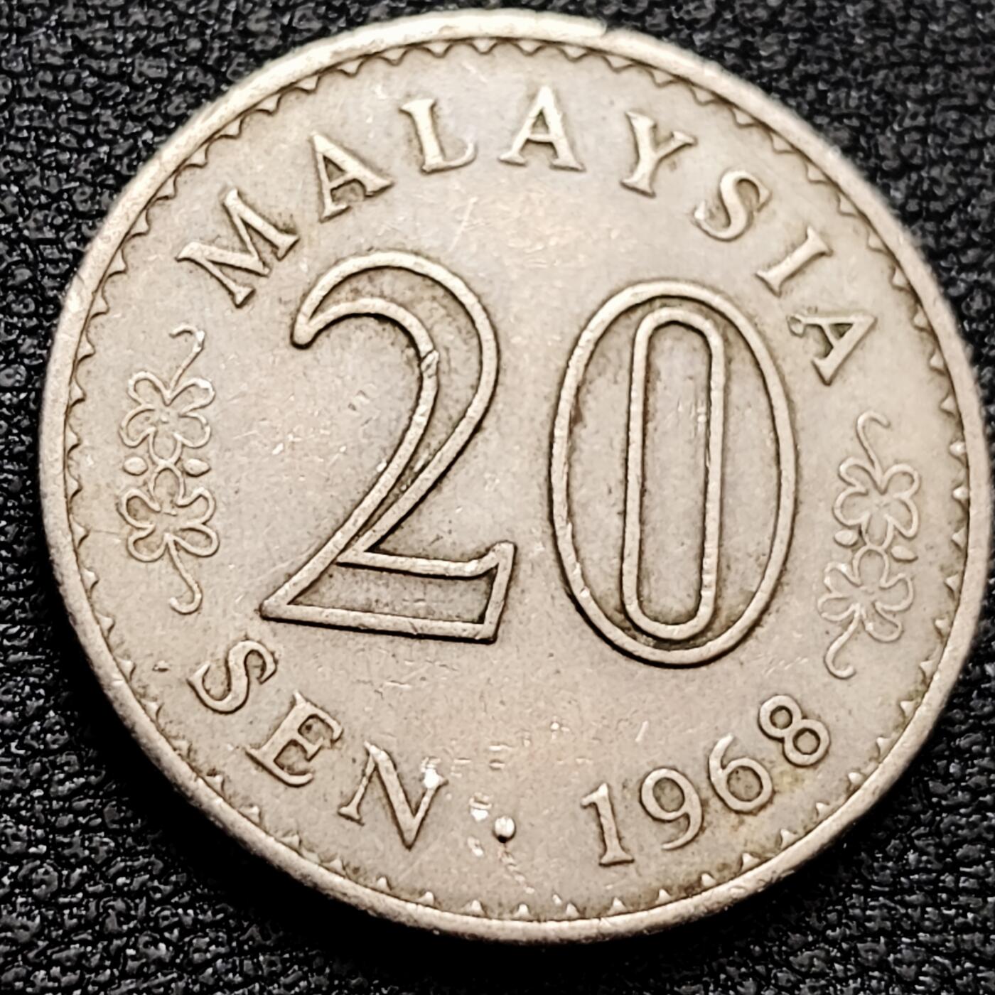 泉币菌-第158场-元旦欢乐场，开年第一场，新年快乐！（特修改截拍时间为23:30分） 。