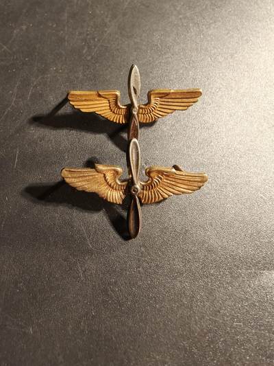 老王徽章第173期 - 美国空军领章一组     一枚Amcraft制造